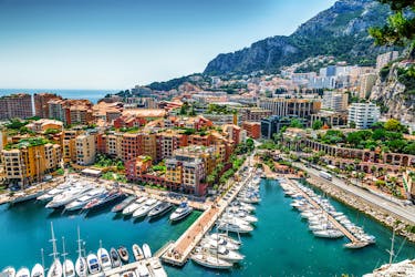Visite privée d’une demi-journée à Eze, Monaco et Monte-Carlo